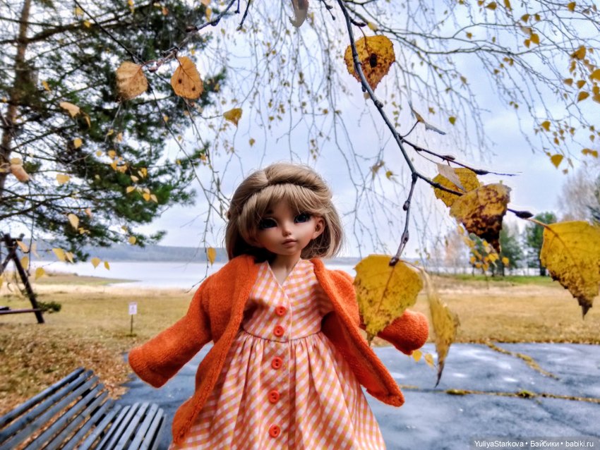 Осенние фото — Куклы Fairyland (ФэйриЛэнд): BJD (БЖД)