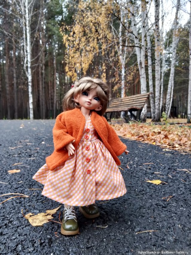 Осенние фото — Куклы Fairyland (ФэйриЛэнд): BJD (БЖД) (фото 2)