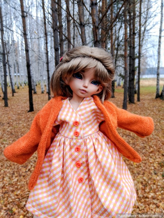 Осенние фото — Куклы Fairyland (ФэйриЛэнд): BJD (БЖД)