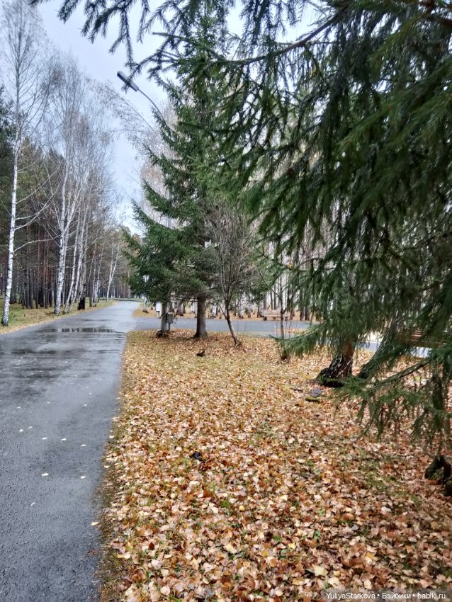 Осенние фото — Куклы Fairyland (ФэйриЛэнд): BJD (БЖД)