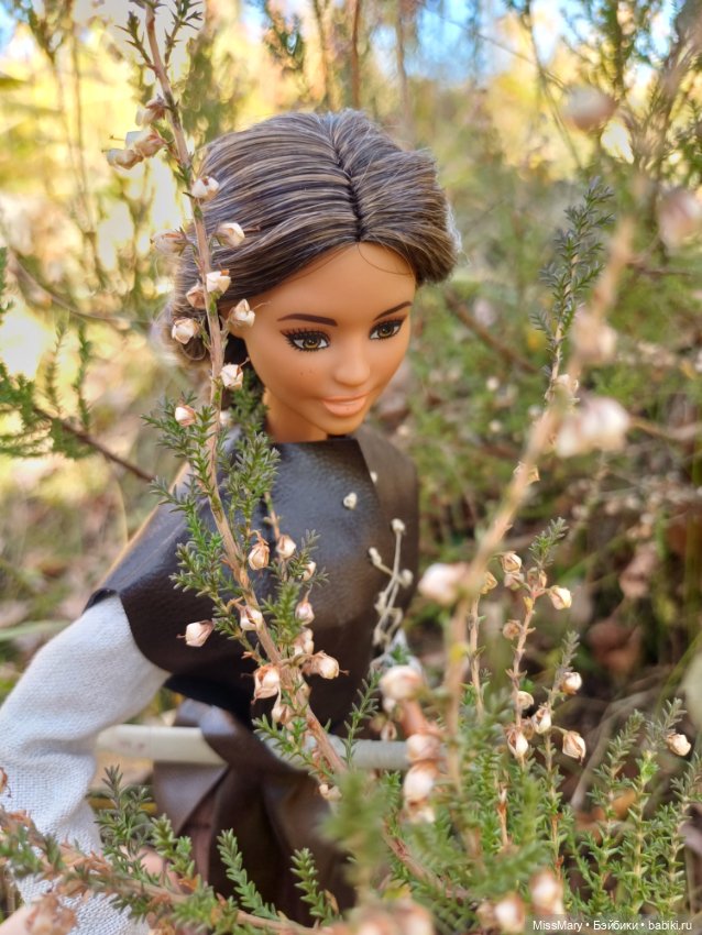 Розалинда, леди - разбойница