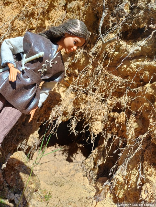 Розалинда, леди - разбойница (фото 10)