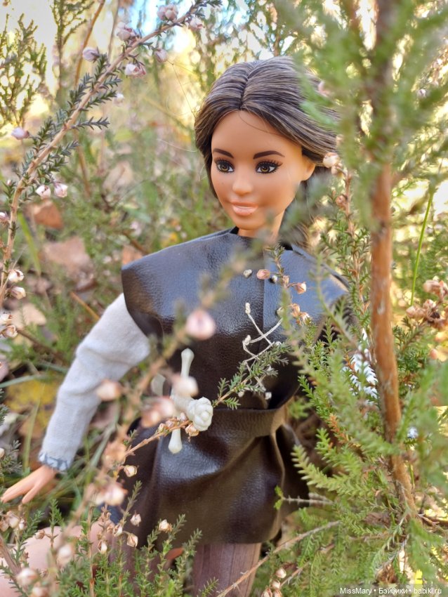 Розалинда, леди - разбойница