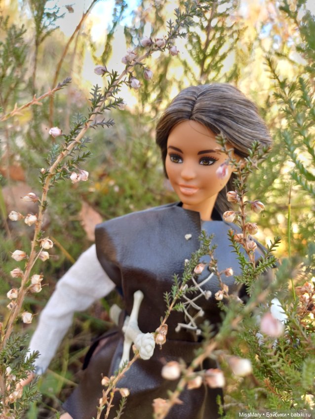 Розалинда, леди - разбойница (фото 7)