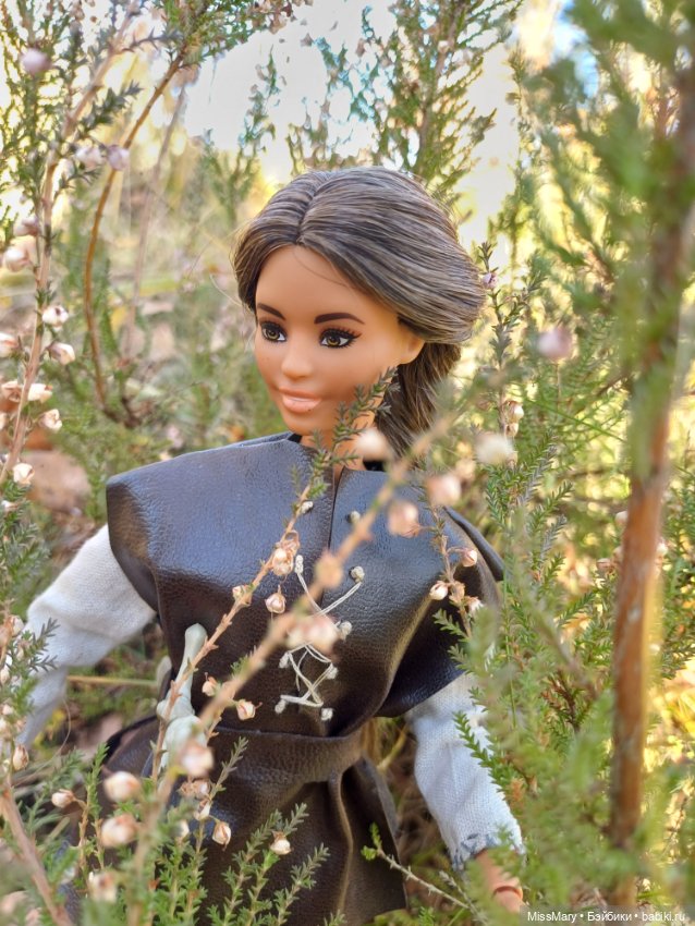 Розалинда, леди - разбойница