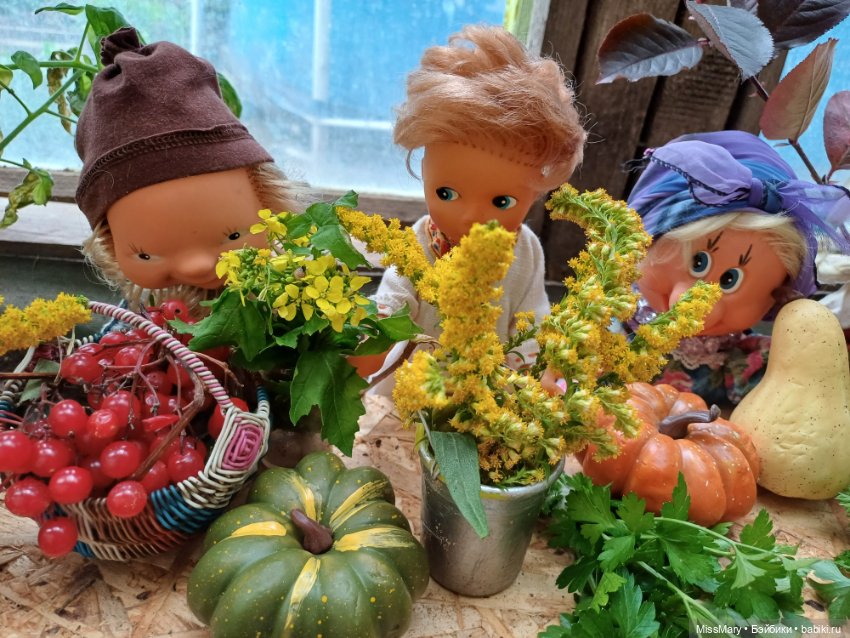 Фотоотчет с юбилейной ярмарки 2025 (фото 2)