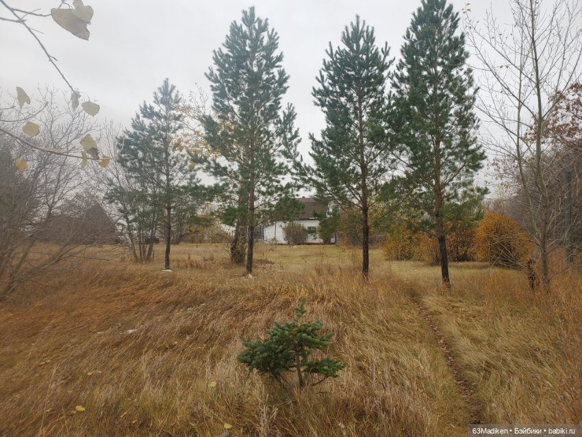 Ромашка в октябре — Куклы Rainbow High (Рейнбоу Хай (фото 9)