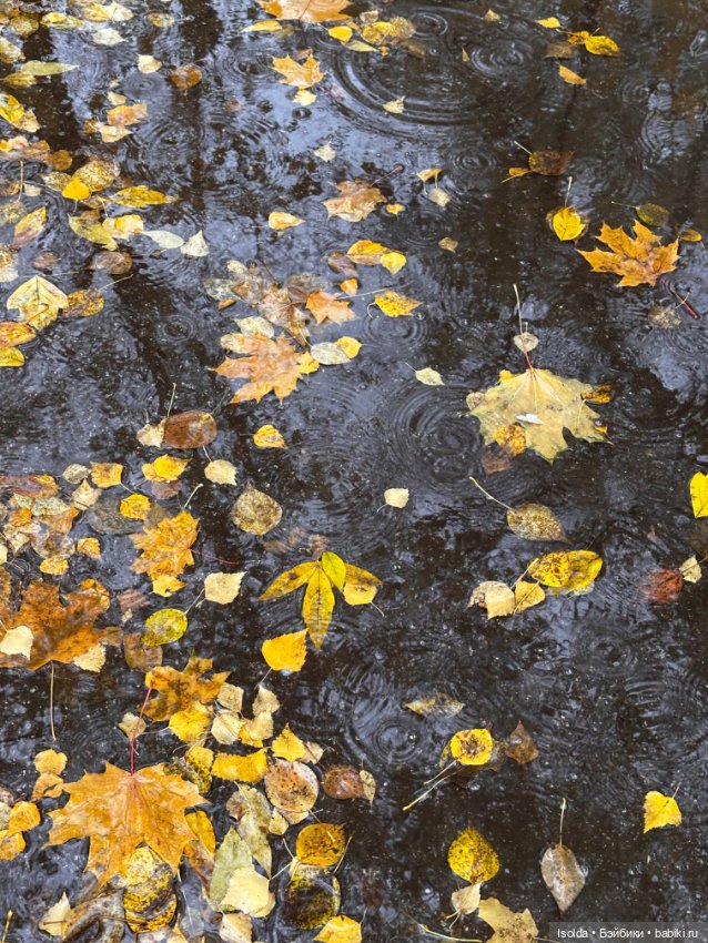 Октябрь с Аэрикой (bjtales, Лидия Снуль) (фото 9)