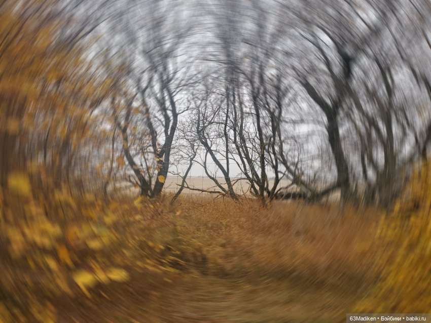 Ромашка в октябре — Куклы Rainbow High (Рейнбоу Хай