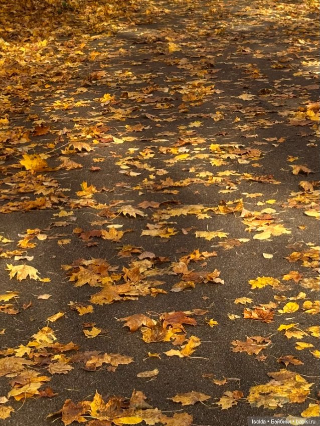 Октябрь с Аэрикой (bjtales, Лидия Снуль) (фото 3)