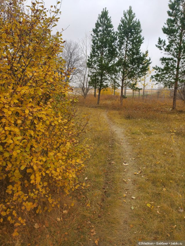 Ромашка в октябре — Куклы Rainbow High (Рейнбоу Хай (фото 6)