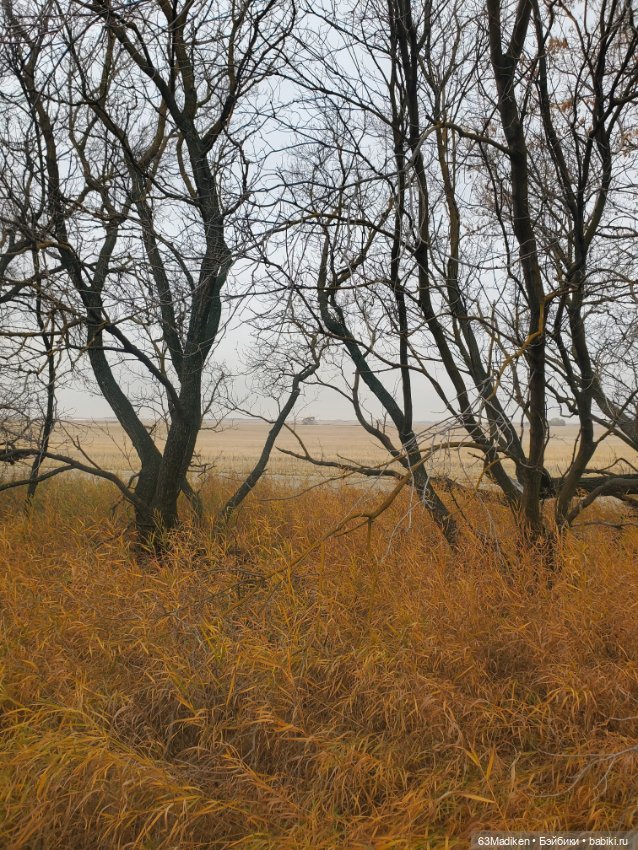 Ромашка в октябре — Куклы Rainbow High (Рейнбоу Хай (фото 8)