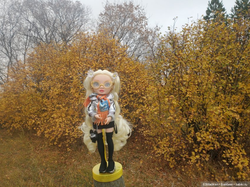 Ромашка в октябре — Куклы Rainbow High (Рейнбоу Хай (фото 5)