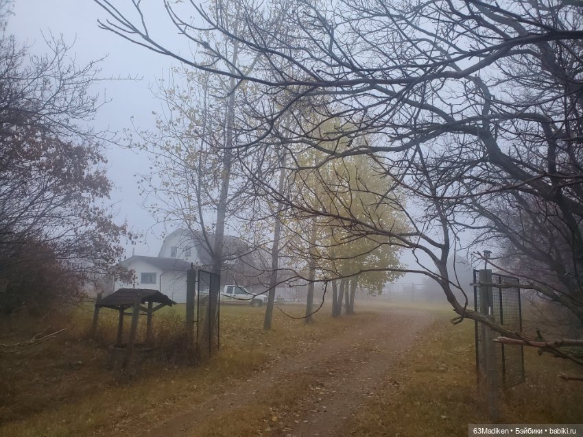 Ромашка в октябре — Куклы Rainbow High (Рейнбоу Хай