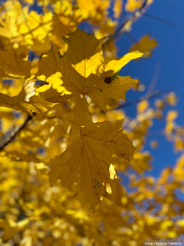 Октябрь с Аэрикой (bjtales, Лидия Снуль)