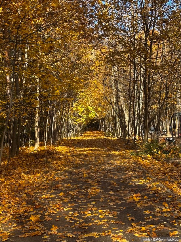 Октябрь с Аэрикой (bjtales, Лидия Снуль) (фото 2)