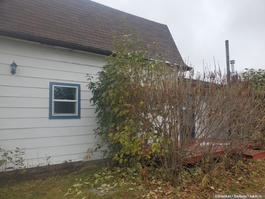 Ромашка в октябре — Куклы Rainbow High (Рейнбоу Хай