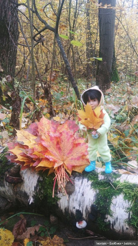 По следам осени — Куклы Kathe Kruse (Кате/Кэте Крузе): фото (фото 2)