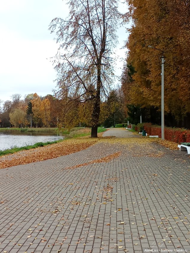 Прогулка по осеннему городу (фото 10)