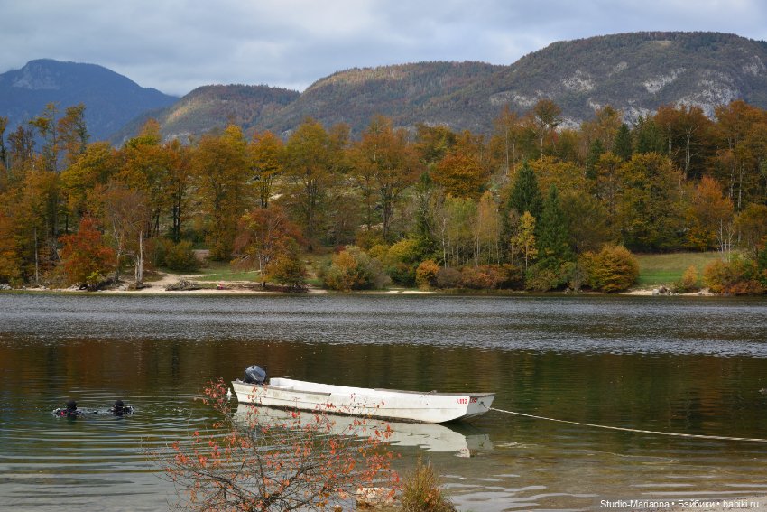 Мальчик от автора Sabine Vogel