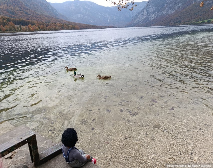 Мальчик от автора Sabine Vogel