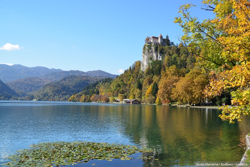 Мальчик от автора Sabine Vogel