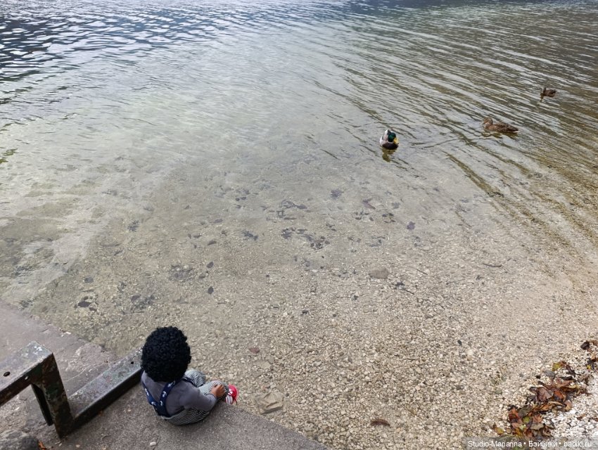 Мальчик от автора Sabine Vogel