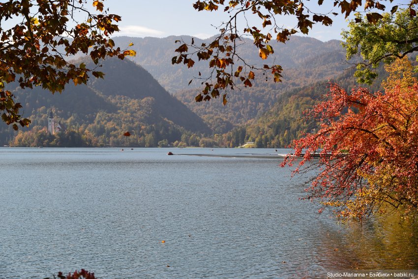 Мальчик от автора Sabine Vogel