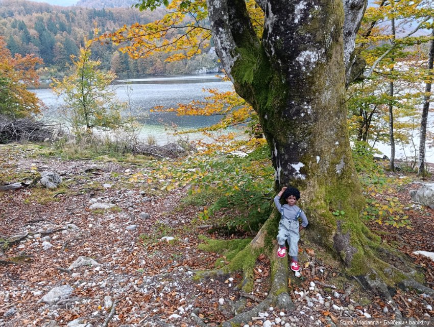 Мальчик от автора Sabine Vogel