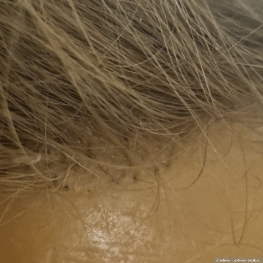 Кто? Где? Когда? Или моя Незнакомка (фото 9)