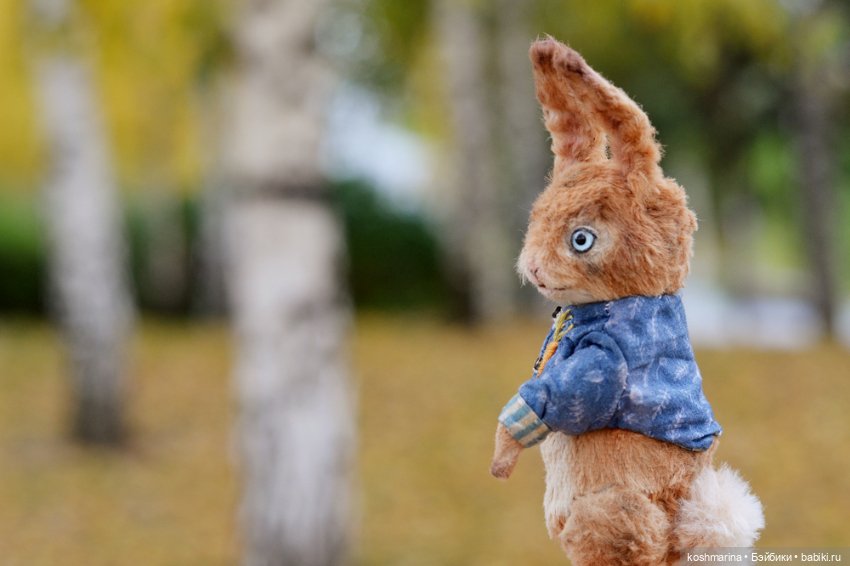 Без зайца не уйти — Домашние фото авторских игрушек: Тедди