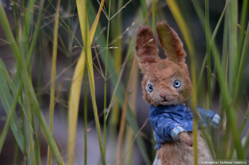Без зайца не уйти — Домашние фото авторских игрушек: Тедди (фото 2)