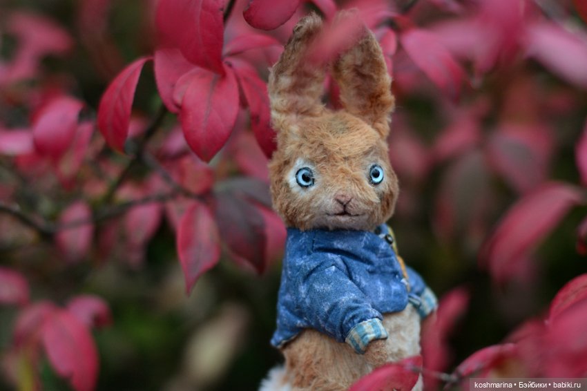 Без зайца не уйти — Домашние фото авторских игрушек: Тедди