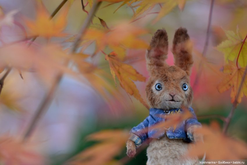 Без зайца не уйти — Домашние фото авторских игрушек: Тедди (фото 3)
