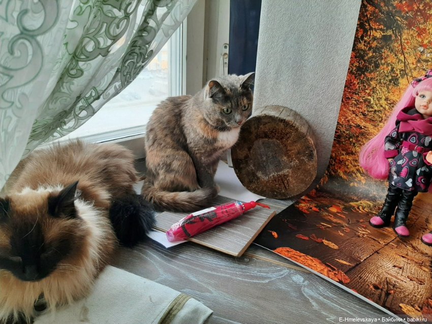 Мои куклы: Алиса и Карина (фото 6)