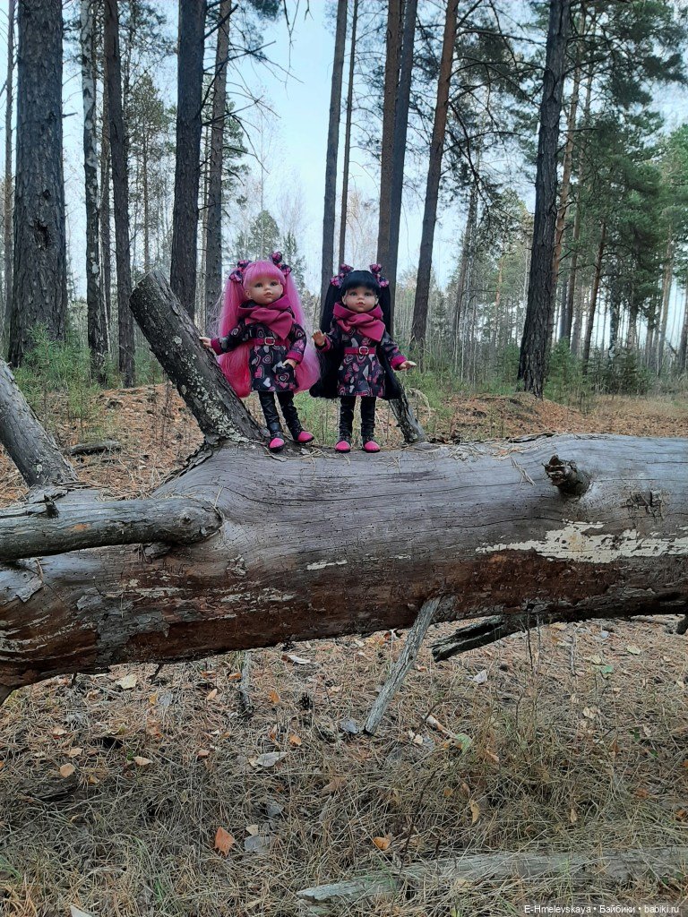 Мои куклы: Алиса и Карина