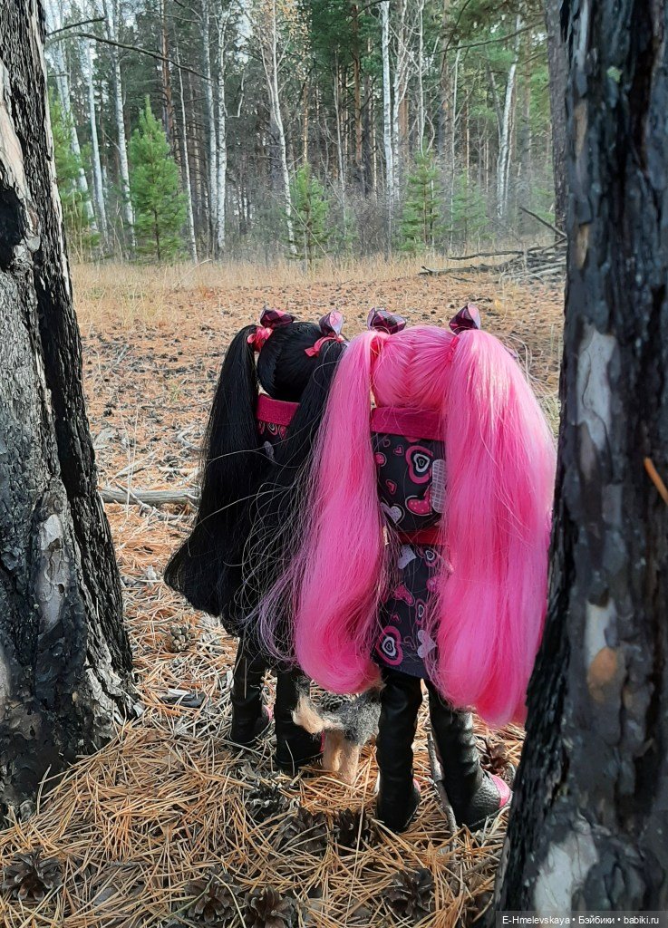 Мои куклы: Алиса и Карина