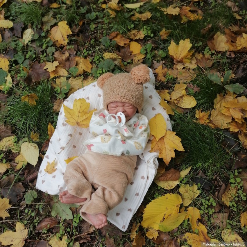 Мои любимые реборнята. Наши осенние прогулки