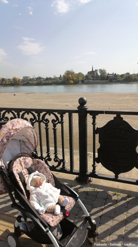 Мои любимые реборнята. Наши осенние прогулки