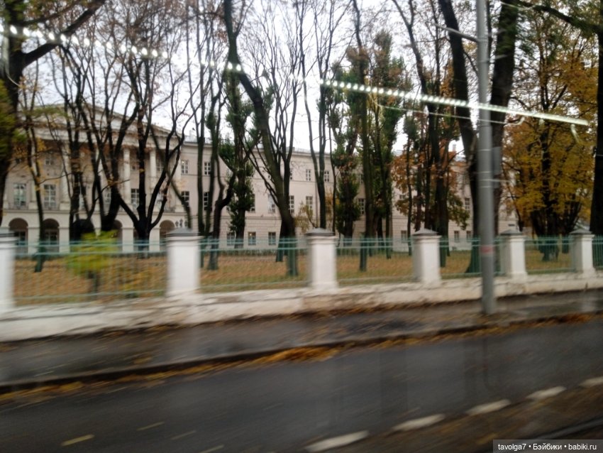 Labubu - фриков прибыло — Игрушки Labubu (Лабубу) и The Monsters: Pop Mart (фото 9)