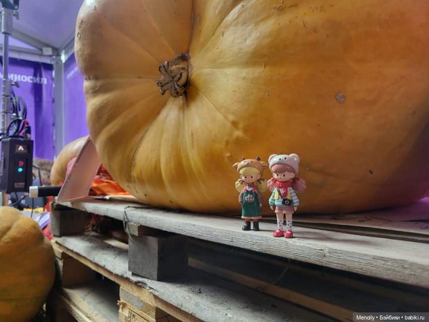 Овощная история🌽🍈🥕 — Фигурки Pop Mart (Поп Март): Blind Box