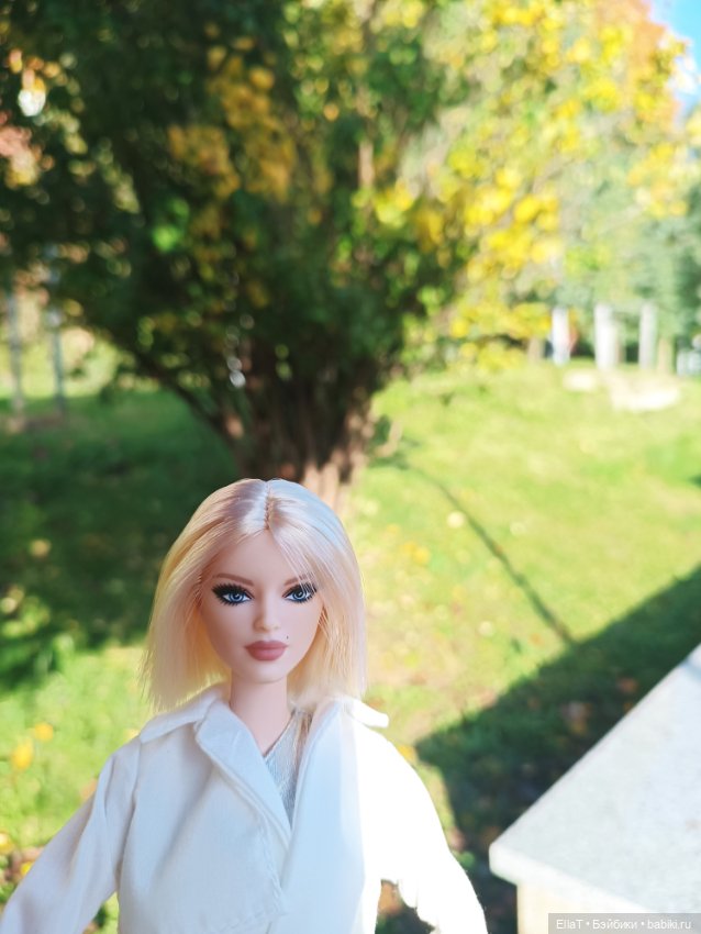 Новая Вика — Куклы Barbie (Барби): Looks