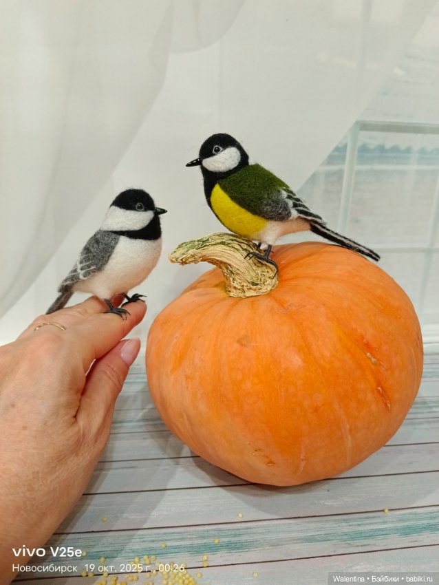 Синички бывают не только жёлтенькие)))