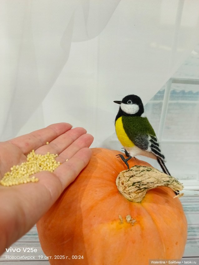 Синички бывают не только жёлтенькие))) (фото 2)