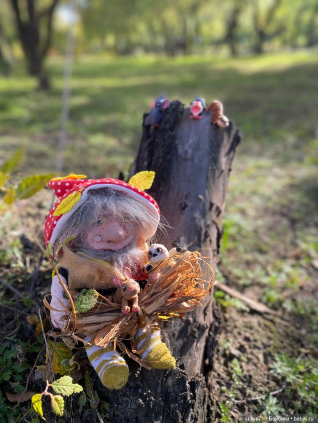 Девочка и гном … — Игровые куклы Zwergnase (Цвергназе) Junior: Джуниор (фото 10)