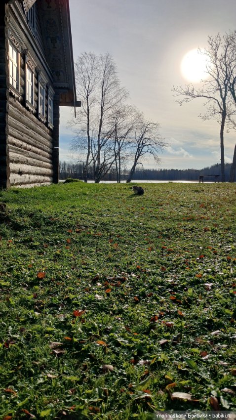 Некрасовское — Туризм и путешествия: фотоотчеты из поездок