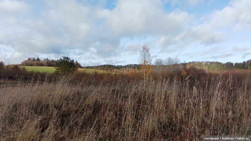 Некрасовское — Туризм и путешествия: фотоотчеты из поездок (фото 2)