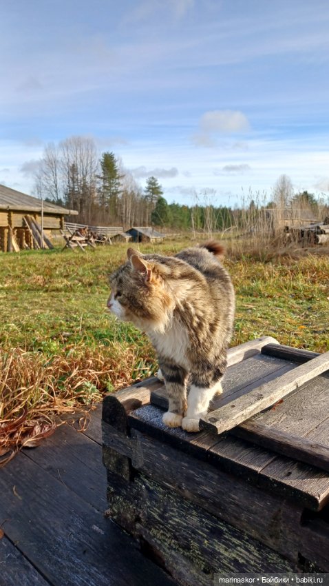 Некрасовское — Туризм и путешествия: фотоотчеты из поездок