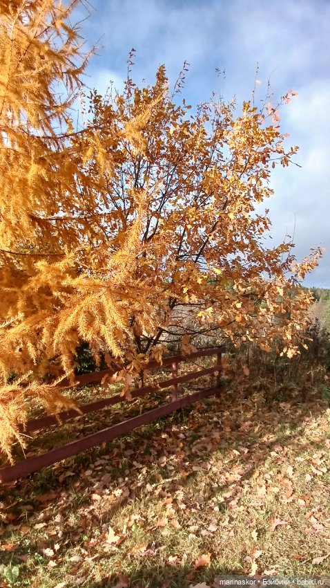 Некрасовское — Туризм и путешествия: фотоотчеты из поездок