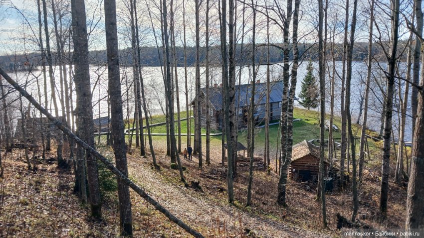 Некрасовское — Туризм и путешествия: фотоотчеты из поездок (фото 9)